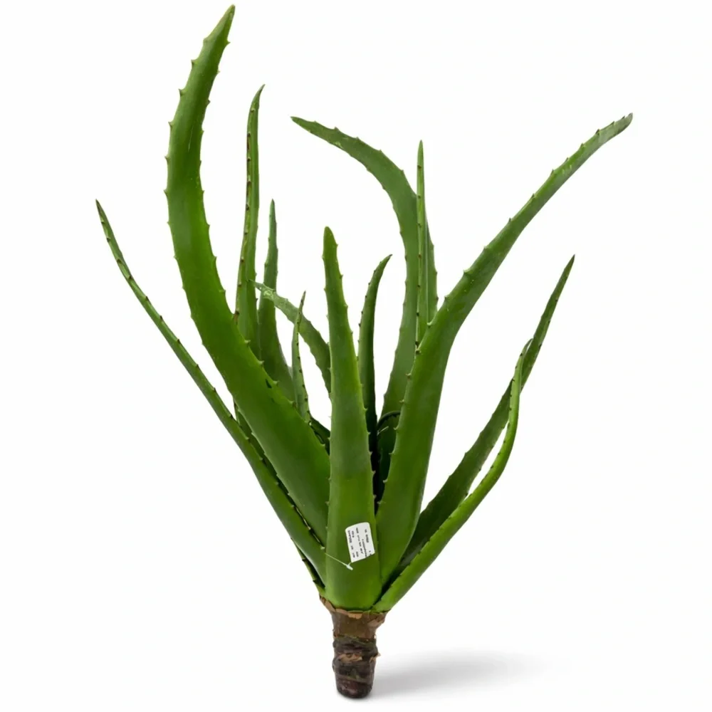 Faux Aloe Vera Plant Tropical Succulent Indoor Decor 30”‎ Tall